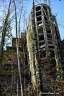 Le sanatorium pavilllon des peupliers 