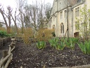 Abbaye de Royaumont