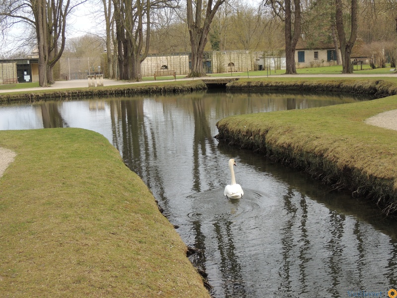 Abbaye de Royaumont