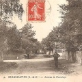 Beauchamps8