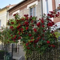 DSC 0188