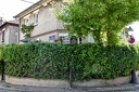 DSC 0195