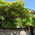 DSC 0217