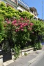 DSC 0229