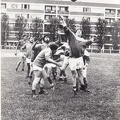 1974_3.jpg