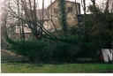 Tempete 2