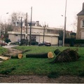 Tempete 5