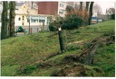 Tempete 6