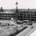 college 1963