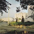 2010