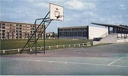 basket