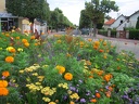 saison2010 8