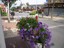 chateaubriand074