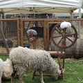 DSCN3366.JPG