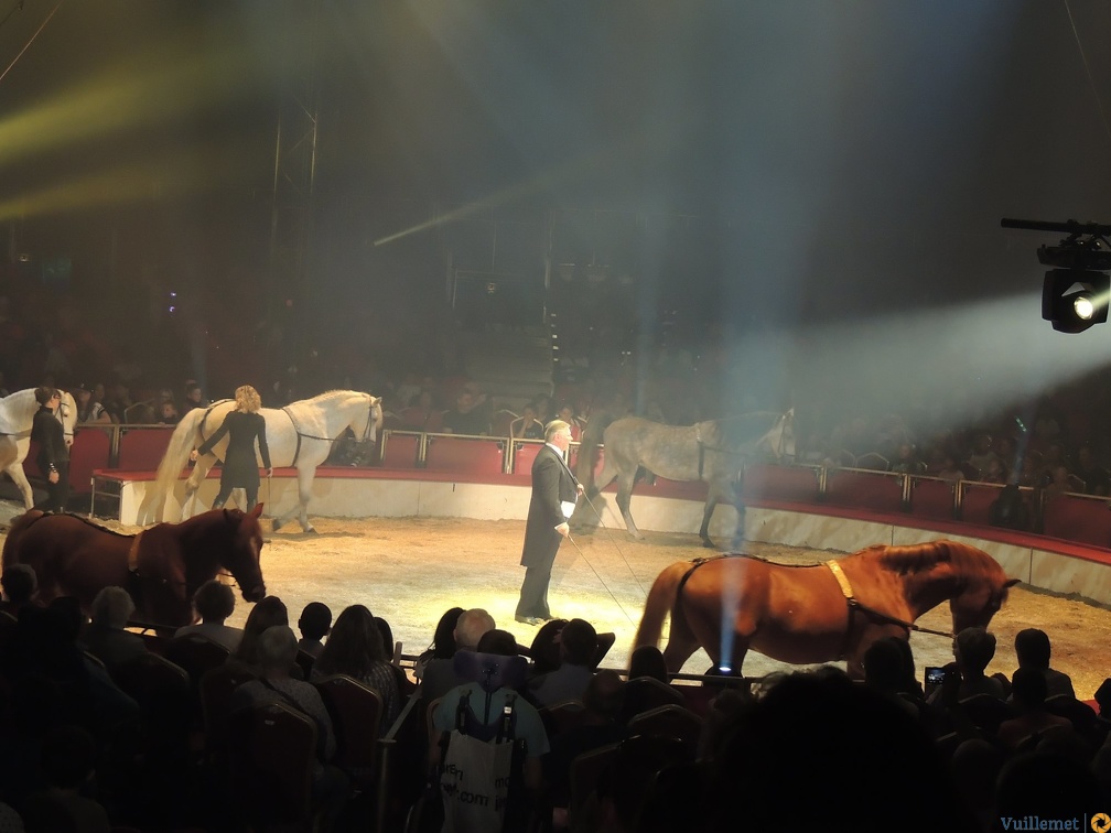 Sacha Houcke (cavalerie)