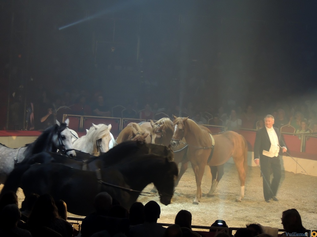 Sacha Houcke (cavalerie)