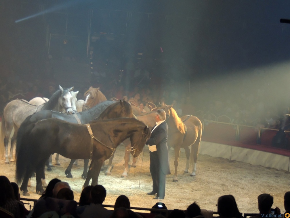 Sacha Houcke (cavalerie)