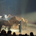 Sacha Houcke (cavalerie)