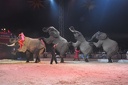 Festival cirqueDomont