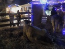 Marché de Noel de Domont