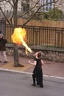 carnaval2011 10