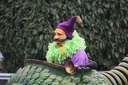 carnaval2011 13