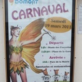 carnaval2011 7