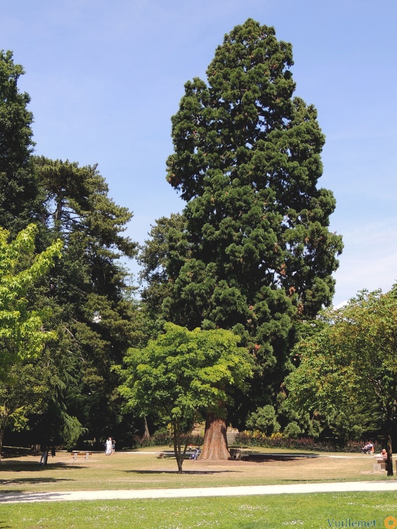 Château et parc cadet de Vaux