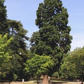 Château et parc cadet de Vaux