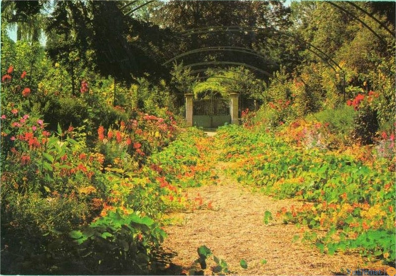 giverny2.jpg