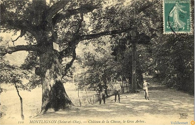 mont63.jpg
