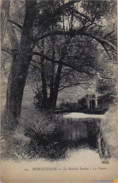 mont66.jpg