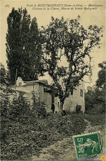 mont71.jpg