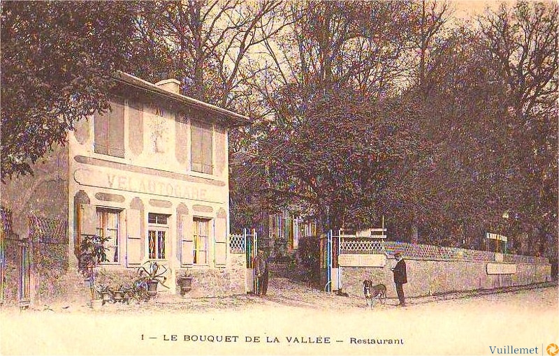 mont74.jpg