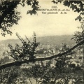 vue6