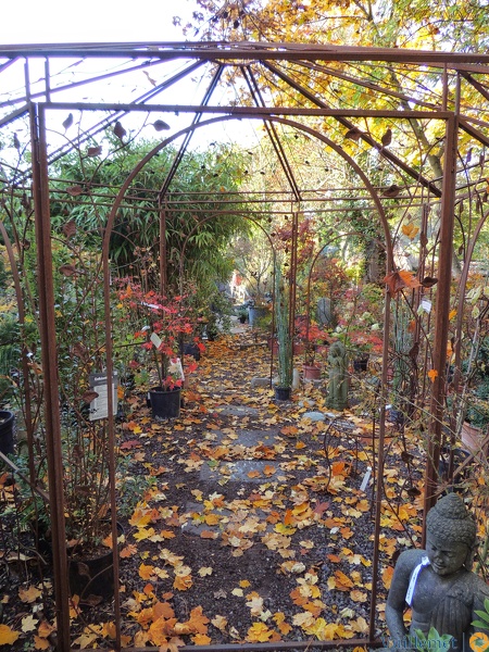 Fête de Samhain pour les enfants