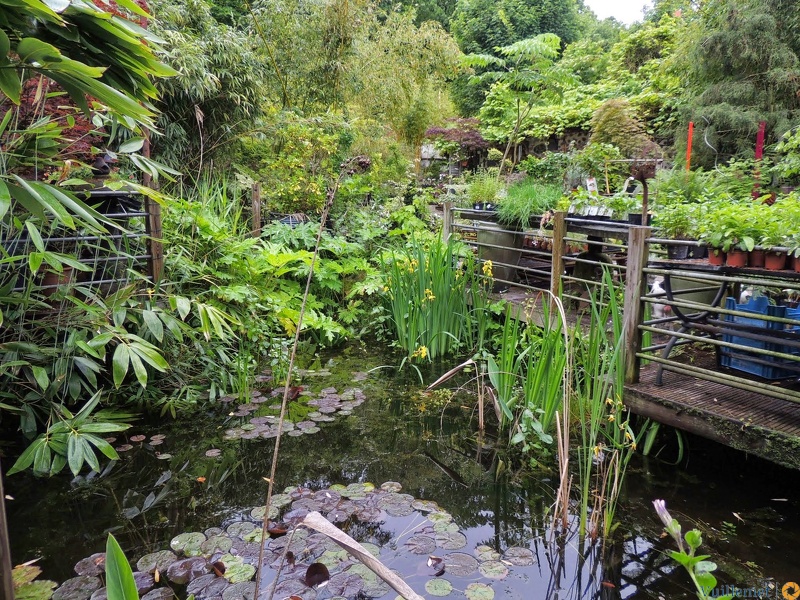 Jardinerie exposition