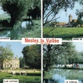 Nesles la Vallée