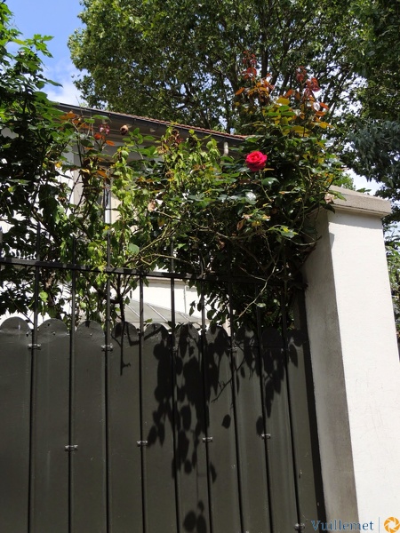 DSCN3516.jpg