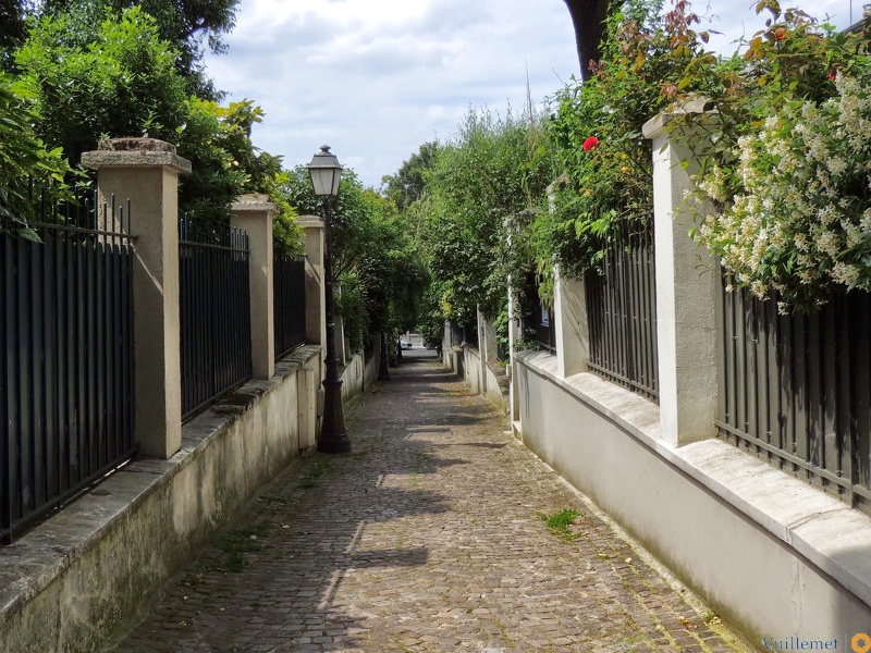 DSCN3517.jpg