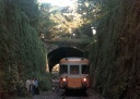 Association Sauvegarde Petite Ceinture