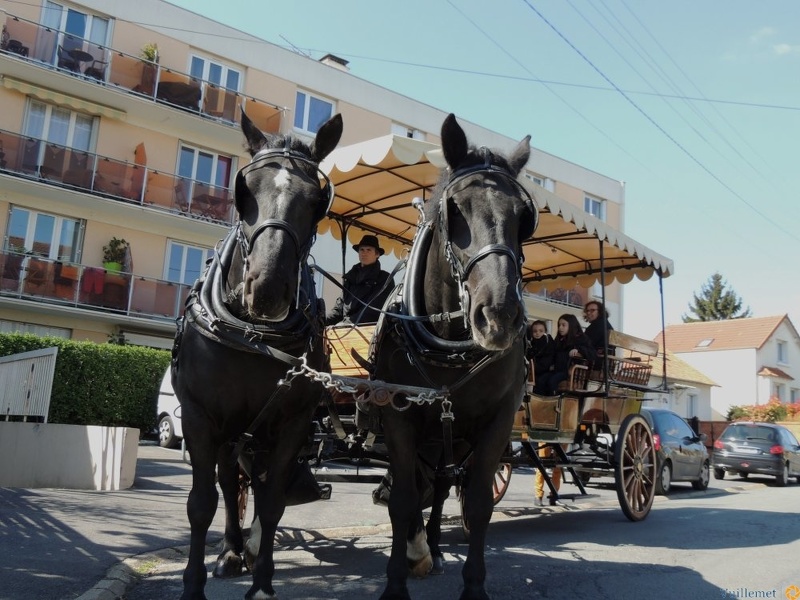 Les traditionnelles animations (tirs à l’arc, balades en calèche, vente de produits locaux, etc.) seront bien sûr au rendez-vous. Dscn1824.jpg