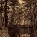 chemin jpg