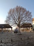 Place  de la Fontaine aux Pélerins 