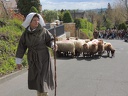 Transhumance ville de Saint Prix