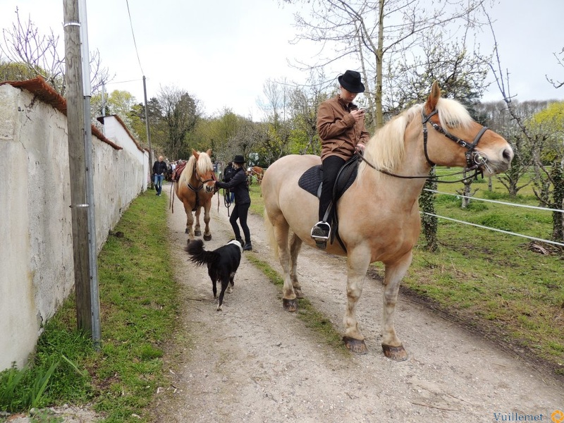 Transhumance ville de Saint Prix