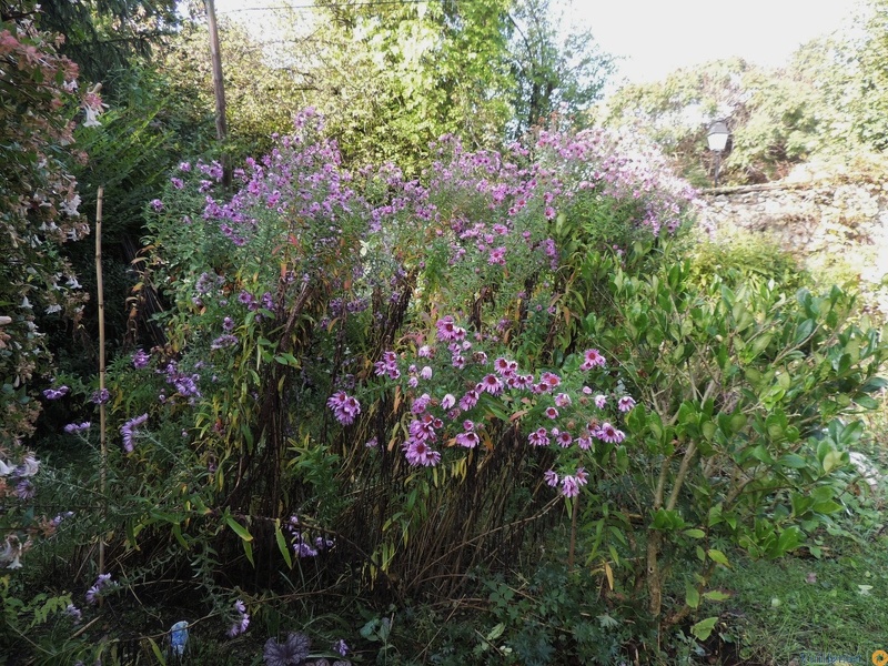 DSCN5224.JPG