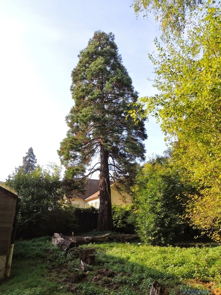 Dscn5217.jpg