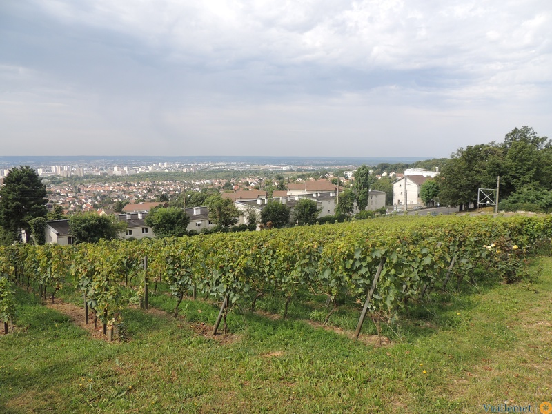 Vue du Moulin