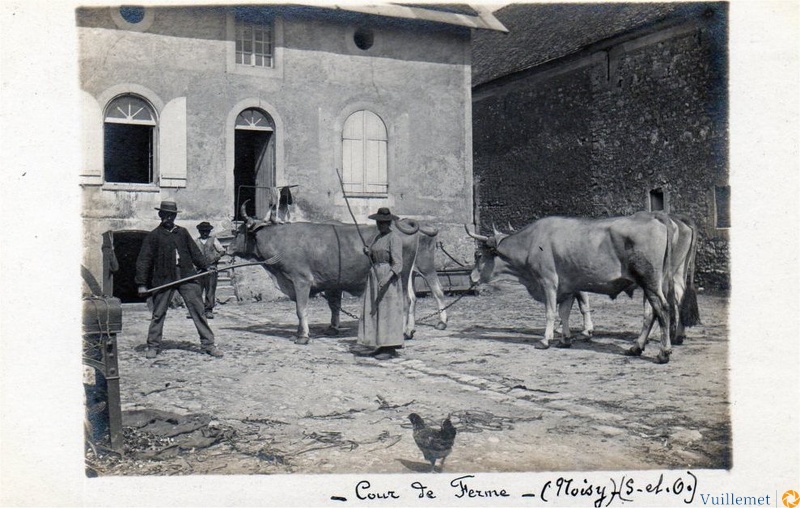 agricole20.jpg